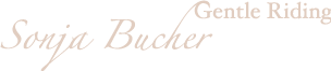 Enter your slogan here